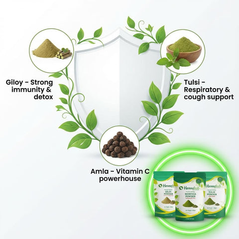 Hennahub Advanced Immunity Booster Combo | Giloy, Tulsi, Moringa, Mulethi Powder & Raw Dried Amla | Pack of 5 |  Energy, Antioxidants & Natural Immunity | Ayurvedic Wellness Pack