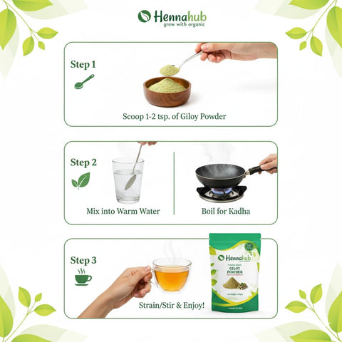 Hennahub Giloy Powder (Food Grade) 100gm Pack | Pure Tinospora cordifolia Stem Powder | Traditional Ingredient for Herbal Drinks, Smoothies & Kadha