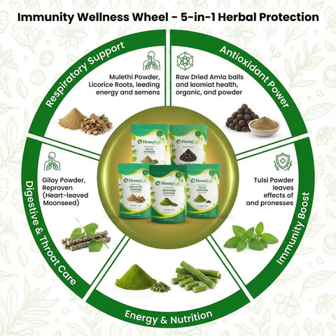 Hennahub Advanced Immunity Booster Combo | Giloy, Tulsi, Moringa, Mulethi Powder & Raw Dried Amla | Pack of 5 |  Energy, Antioxidants & Natural Immunity | Ayurvedic Wellness Pack
