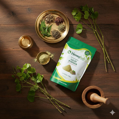 Hennahub Giloy Powder (Food Grade) 100gm Pack | Pure Tinospora cordifolia Stem Powder | Traditional Ingredient for Herbal Drinks, Smoothies & Kadha
